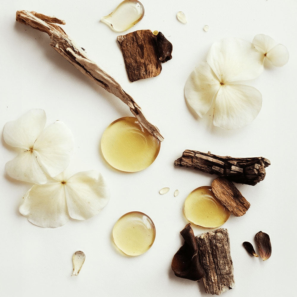 Tallow Glow – Rich Healing Balm for Dry & Sensitive Skin