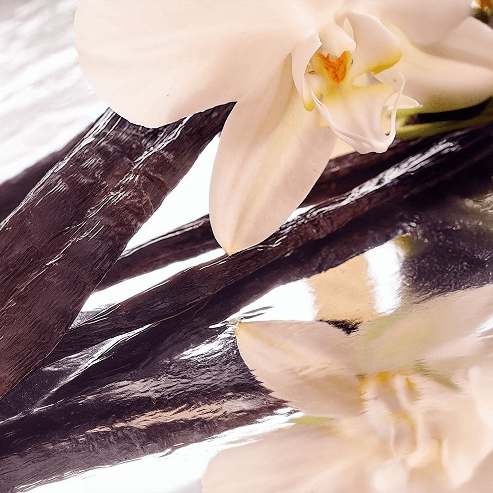 Tallow Glow – Rich Healing Balm for Dry & Sensitive Skin